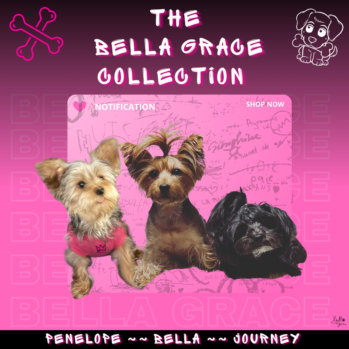 Bella Grace Collection
